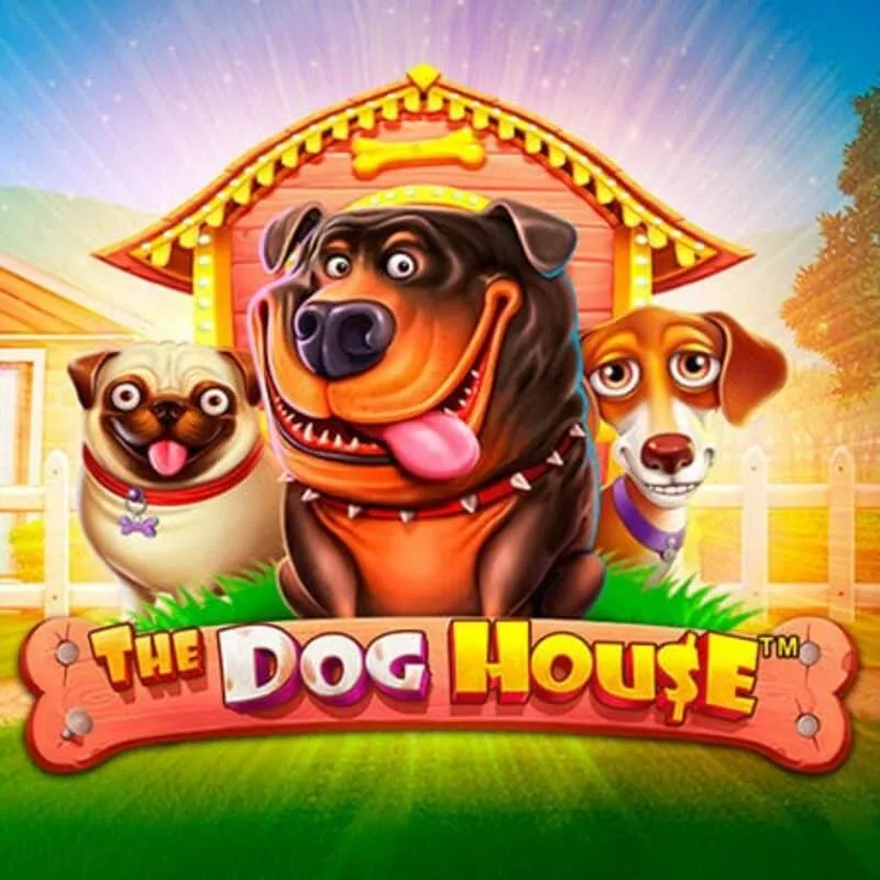 RoosterBet Casino — Dog House